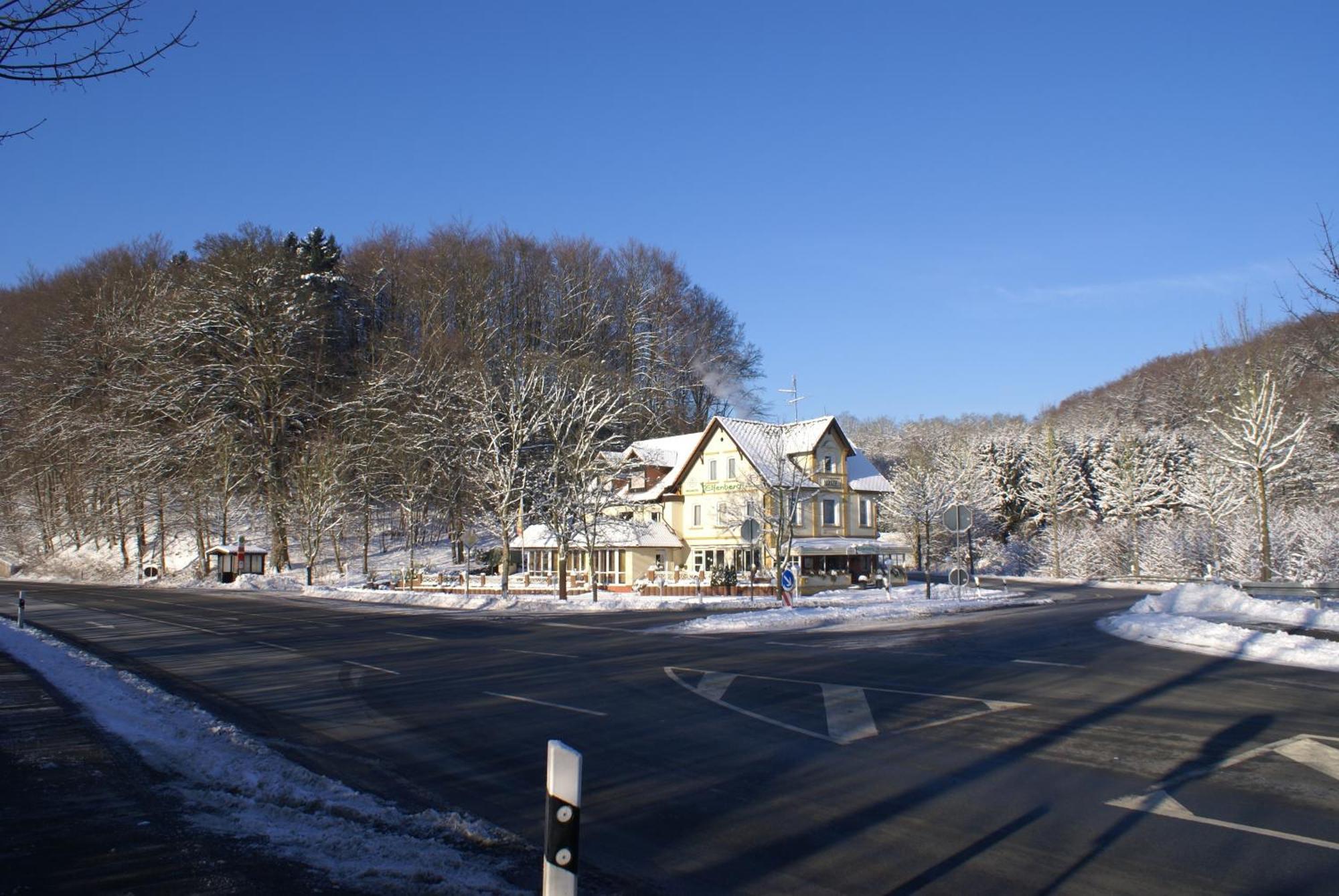 Hotel Elfenberg Schieder-Schwalenberg Zewnętrze zdjęcie